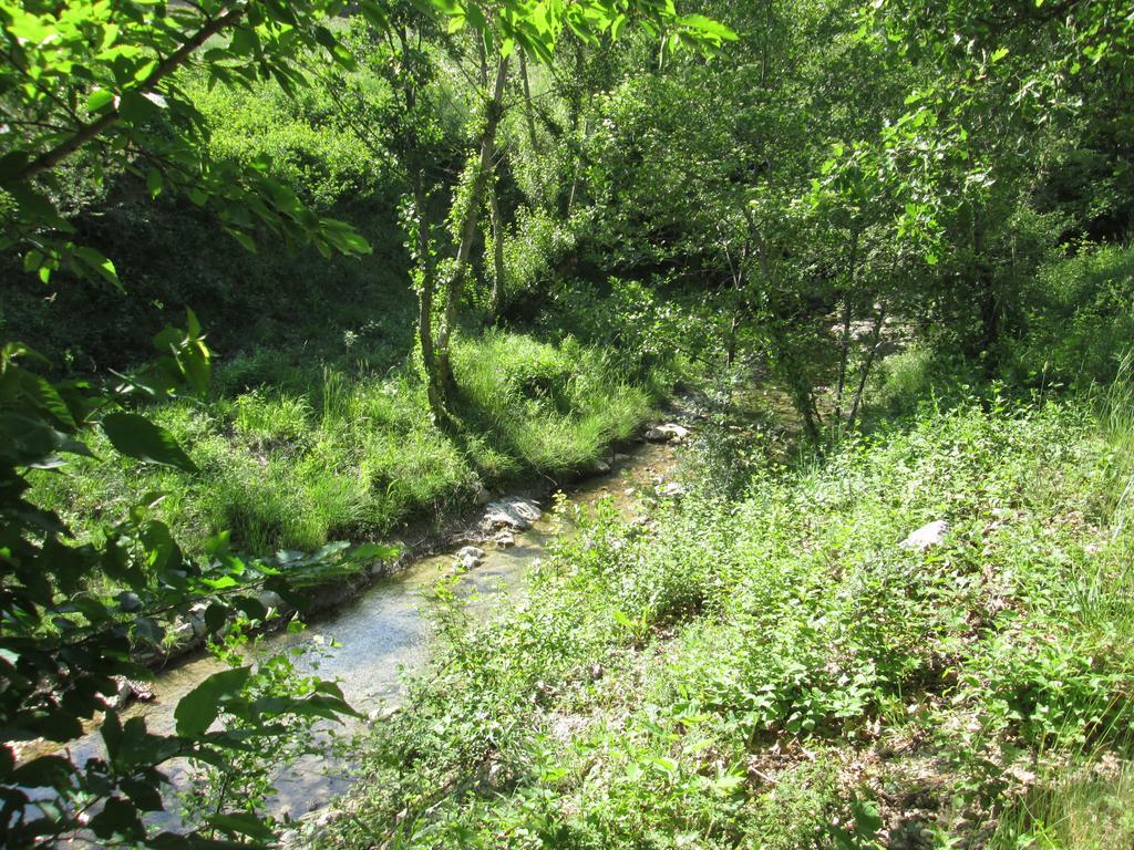 Le Chambron Condorcet Exterior foto